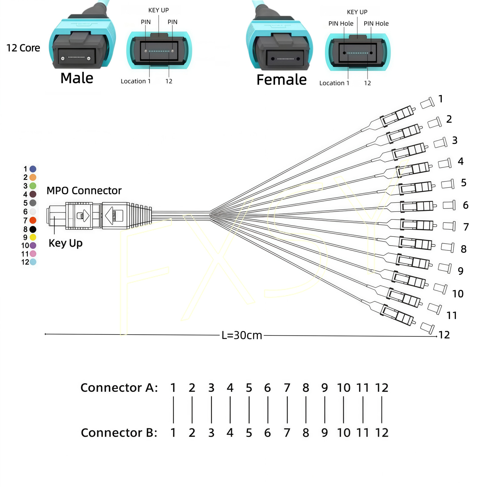 MPO to LC OM4 Aqua 12Core Breakout Fan Fiber Optic Patch Cord Cable For Cassette