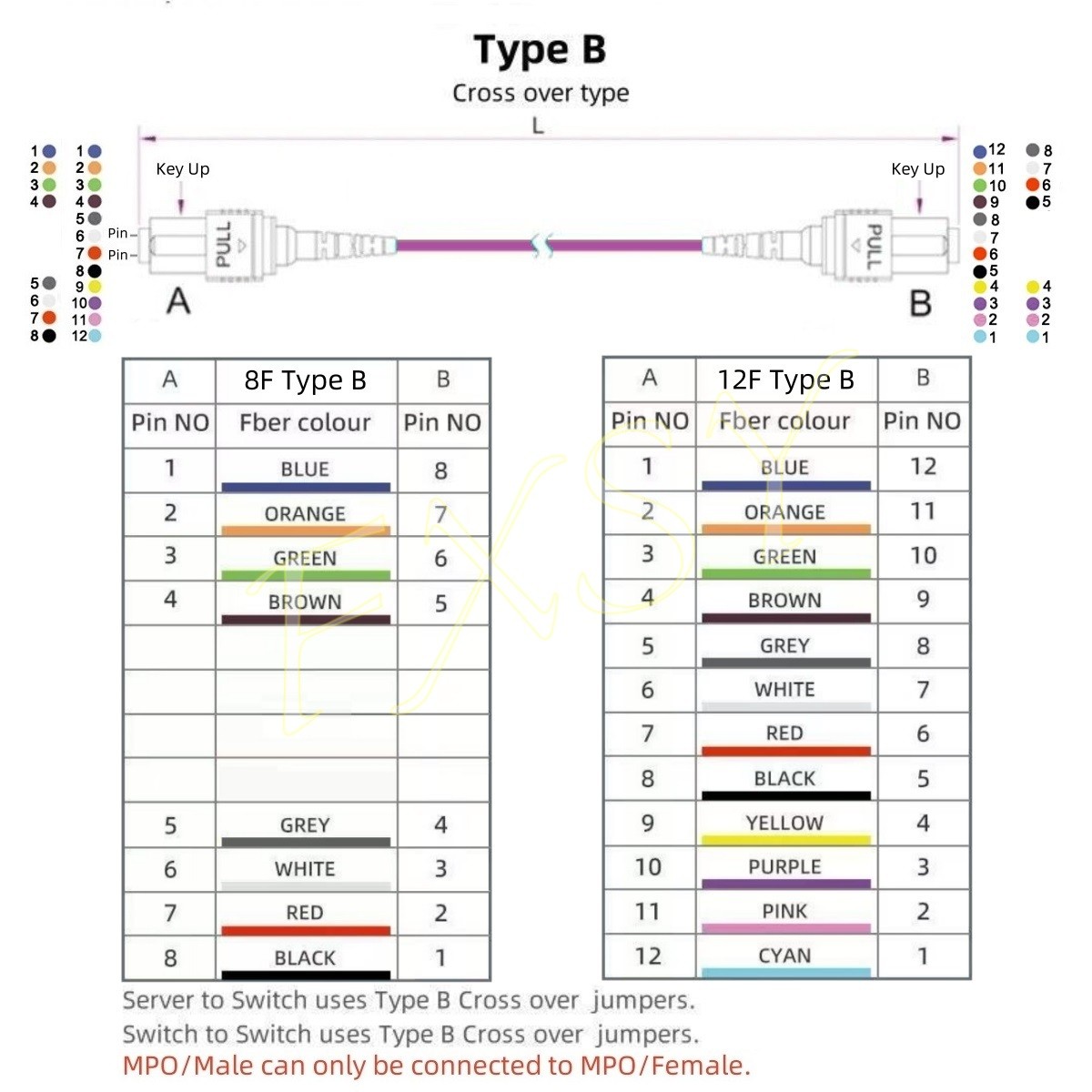 1-40M MPO/PC Male to MPO/PC Female OM4 8|12F Type A Fiber Optical Patch Cord MTP
