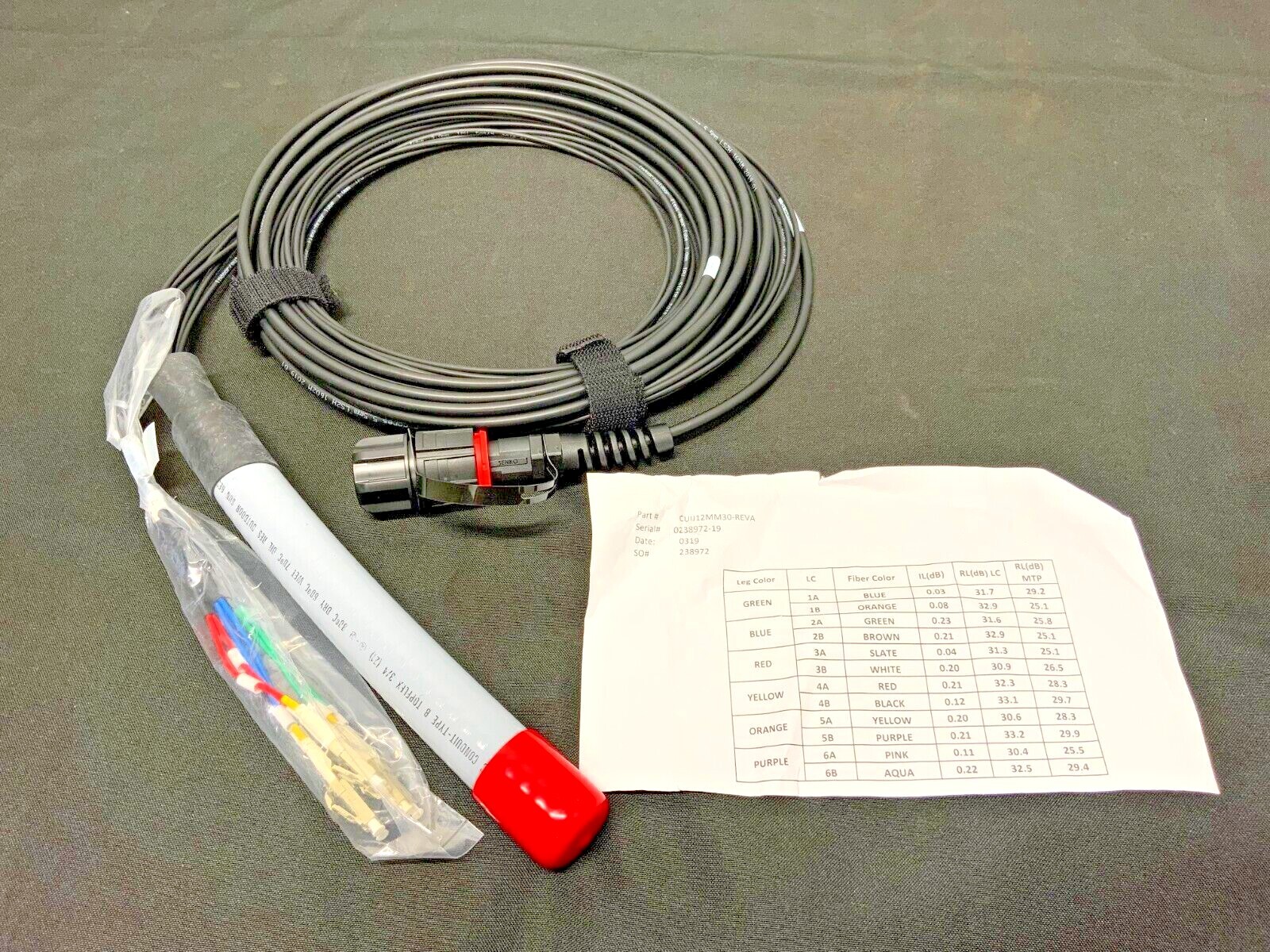 IP-MPO Male/LC-UPC OM3 50um Mini Armored 12 Strand I/O LSZH 30′ CUIJ12MM30-REVA