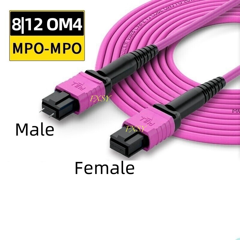 1-40M MPO/PC Male to MPO/PC Female OM4 8|12F Type A Fiber Optical Patch Cord MTP