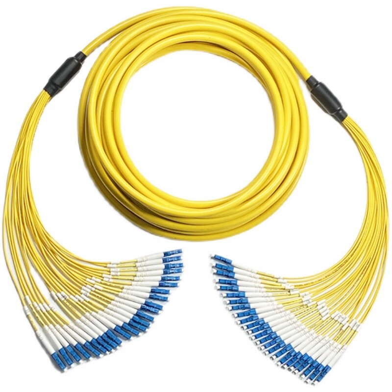 30m LC to LC SM OS2 24 Fibers Indoor Multifiber Cable Pre-terminated Patch Cord