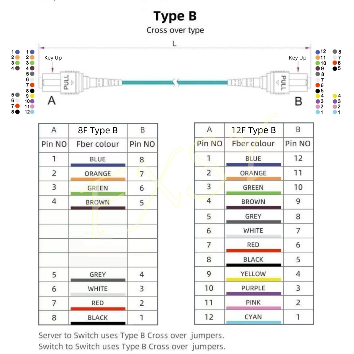 1-40M MPO Female to MPO Female OM3 8|12 Core Type A Fiber Optic Patch Cord MTP